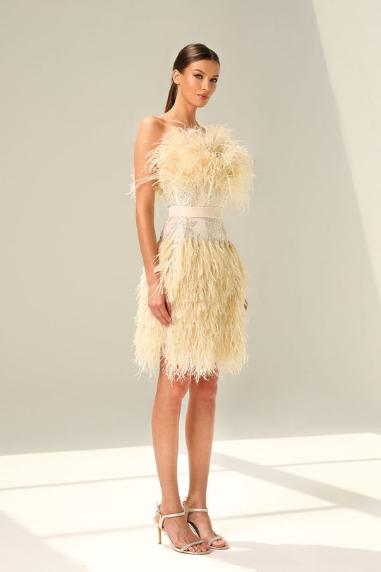 ROGIN DRESS