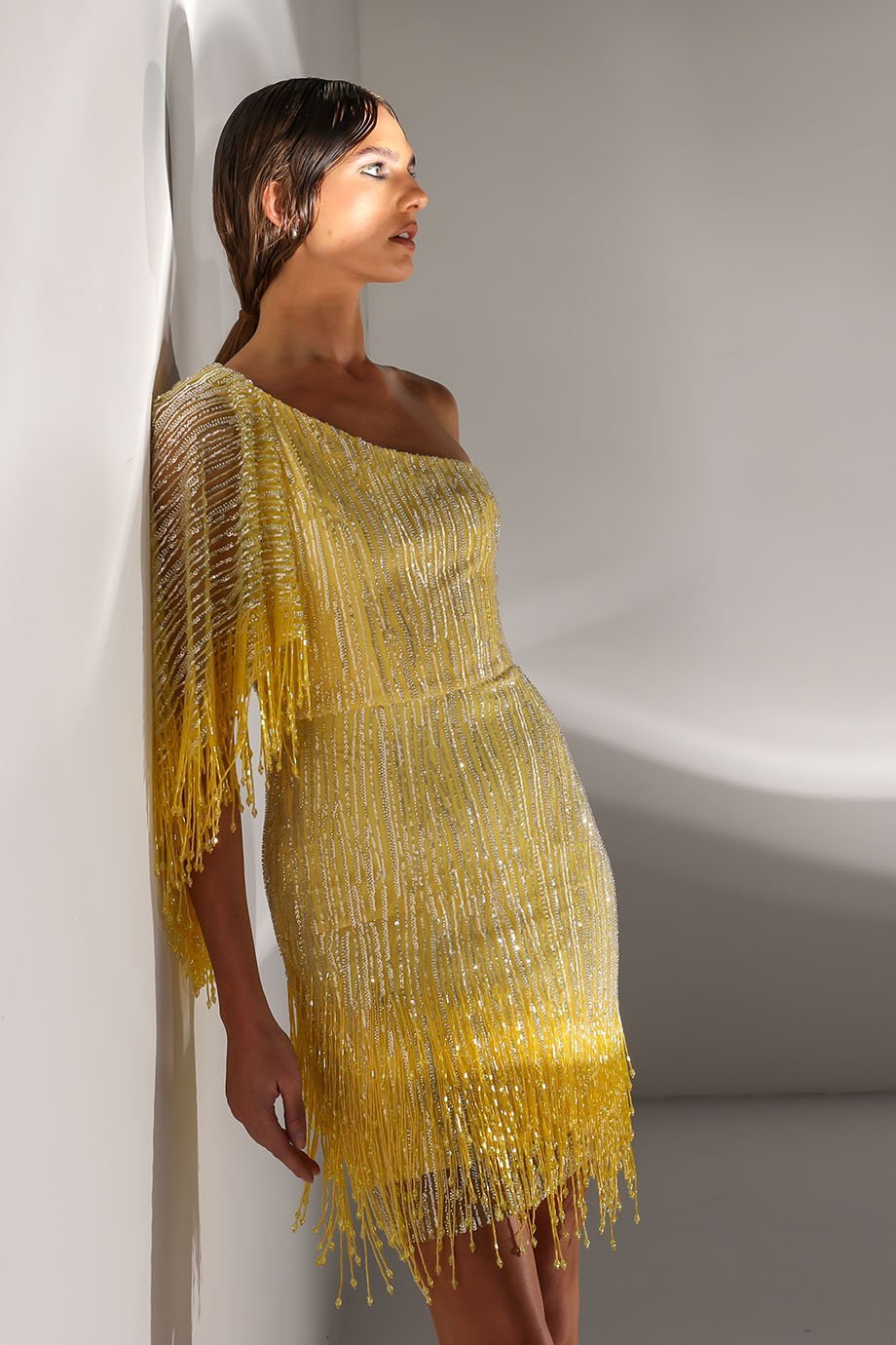 TAYA DRESS
